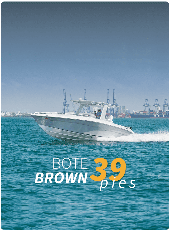 bote brown 39